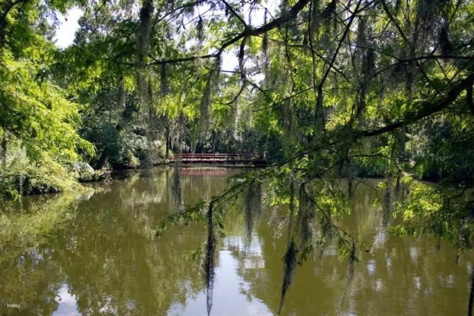 Self-guided driving audio tour from Savannah to Charleston