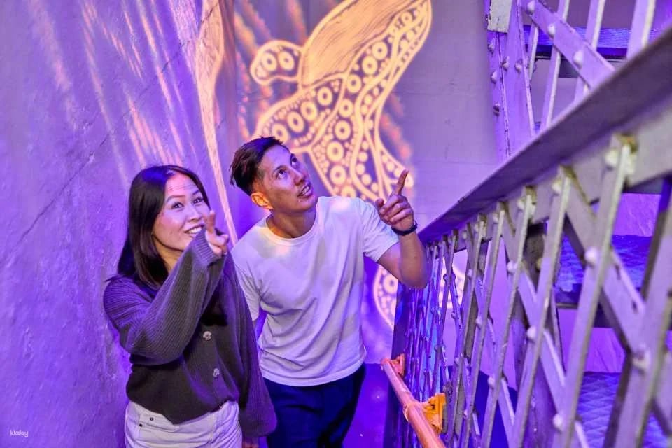Sydney Harbour BridgeMuseum | Day Session
