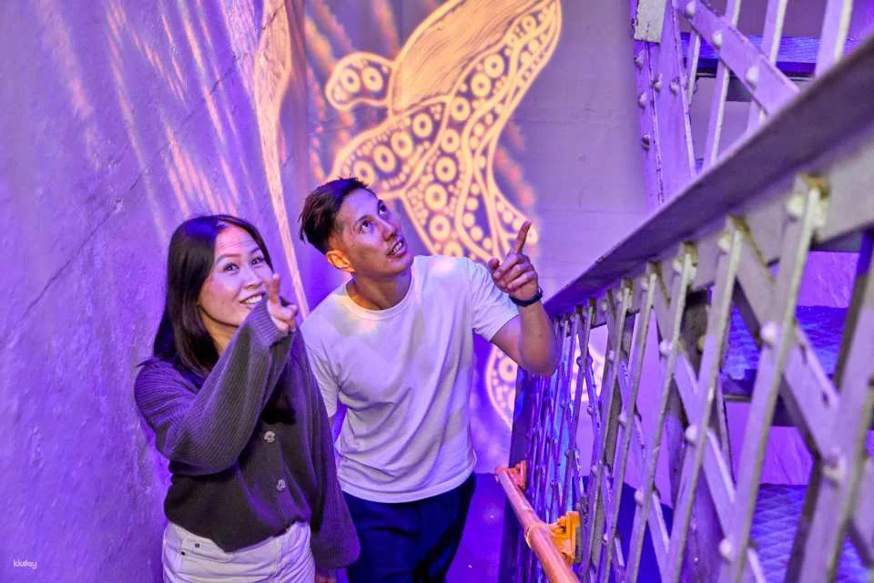 Sydney Harbour BridgeMuseum | Day Session