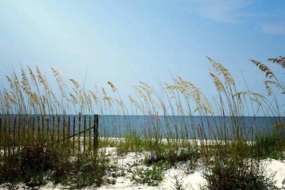 Self-guided driving audio tour from Jacksonville to Saint Augustine