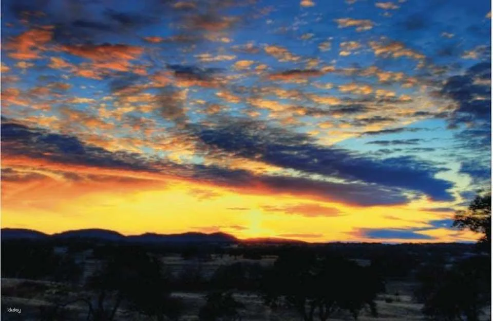 Texas Hill Country and LBJ Ranch sightseeing tour from Austin