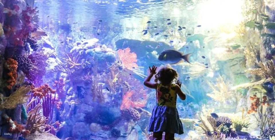 Go City | San Diego Essentials Pass to 3 Top Attractions