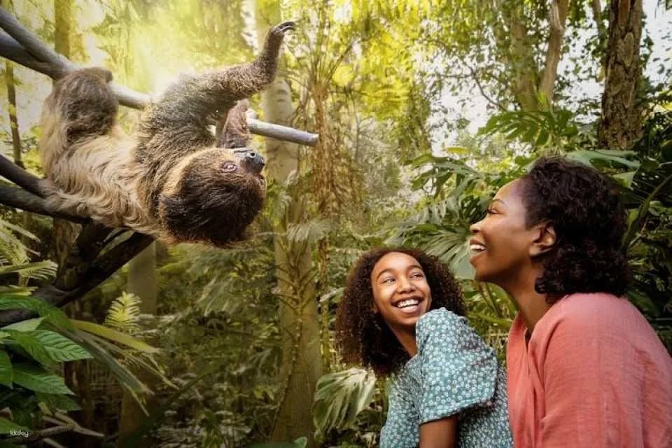 Go City | San Diego Essentials Pass to 3 Top Attractions