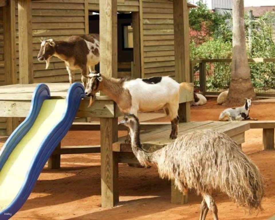 Gatorland general admission tickets