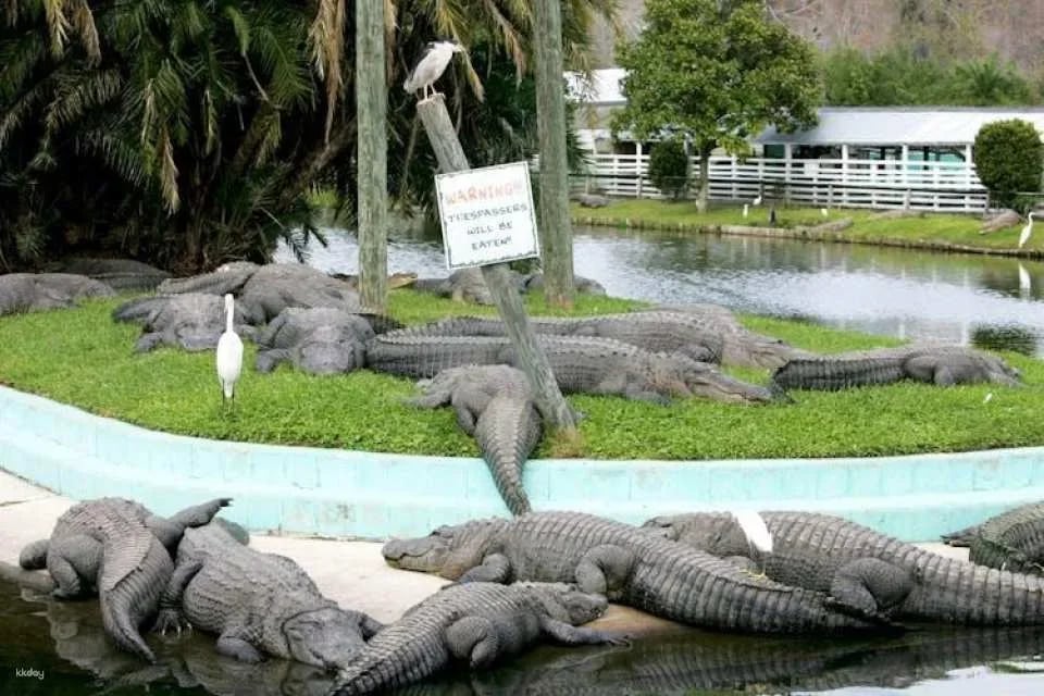 Gatorland general admission tickets