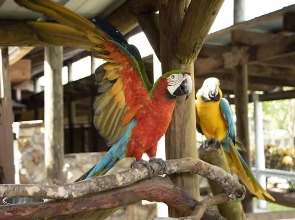 Gatorland general admission tickets
