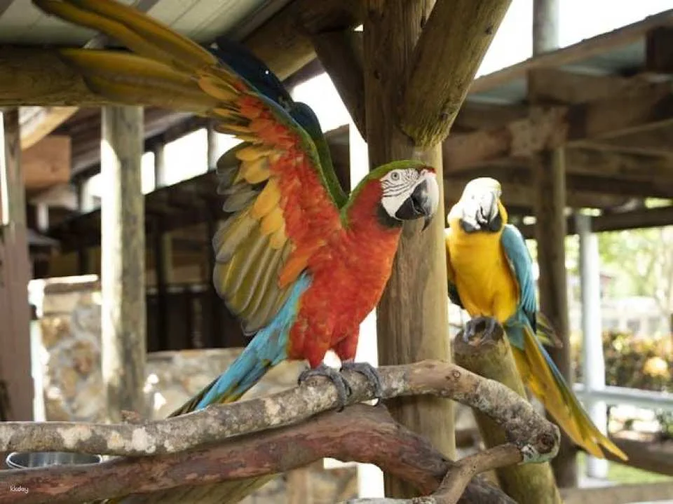 Gatorland general admission tickets