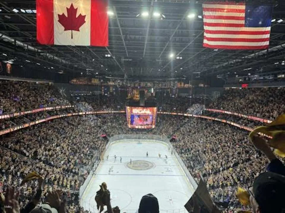 Vegas Golden Knights NHL game ticket at T-Mobile Arena