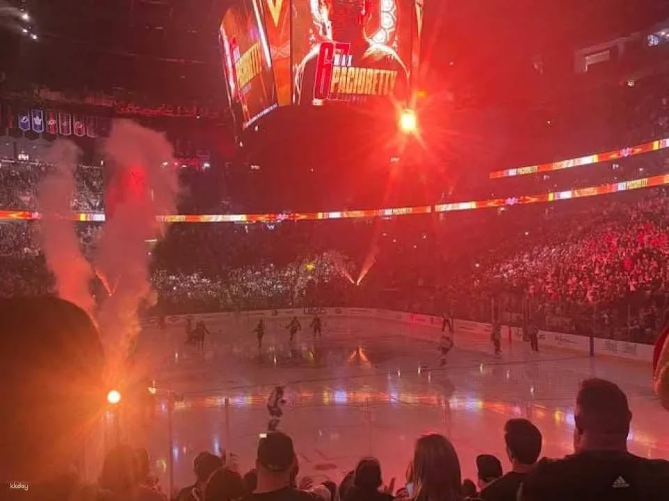 Vegas Golden Knights NHL game ticket at T-Mobile Arena
