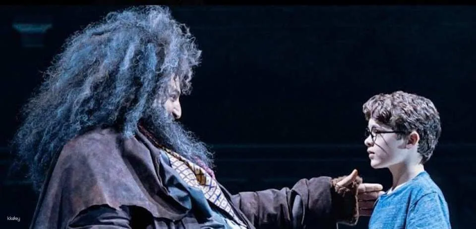 Broadway tickets to Harry Potter and the Cursed Child
