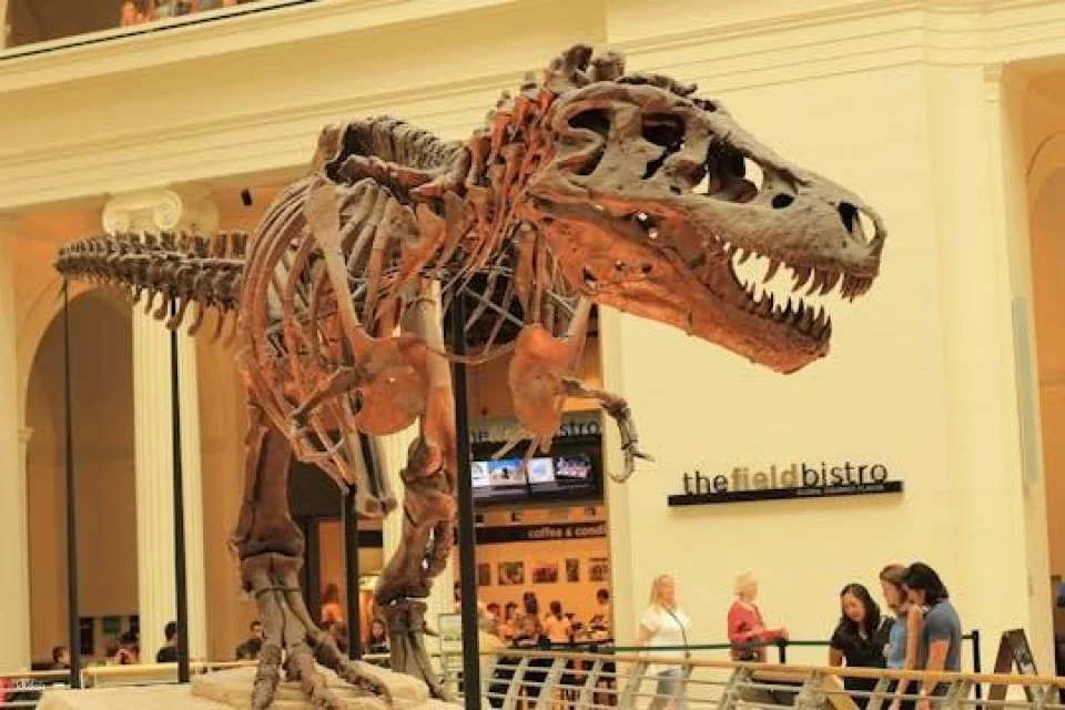 Field Museum of Natural History tickets and audio tour