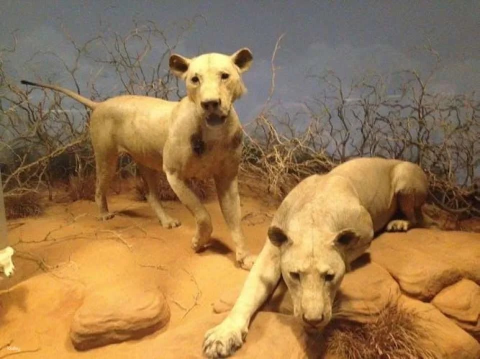 Field Museum of Natural History tickets and audio tour