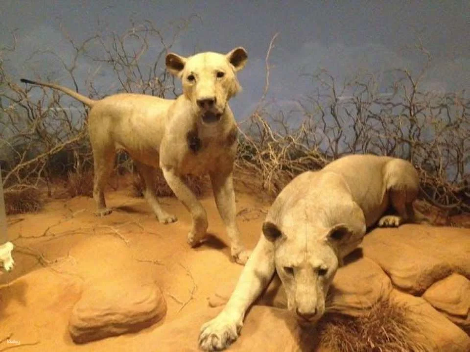 Field Museum of Natural History tickets and audio tour