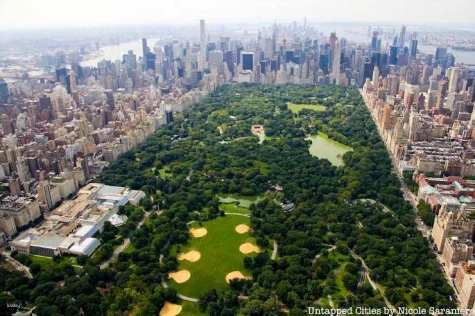 Central Park Zoo and Manhattan Walking Tour