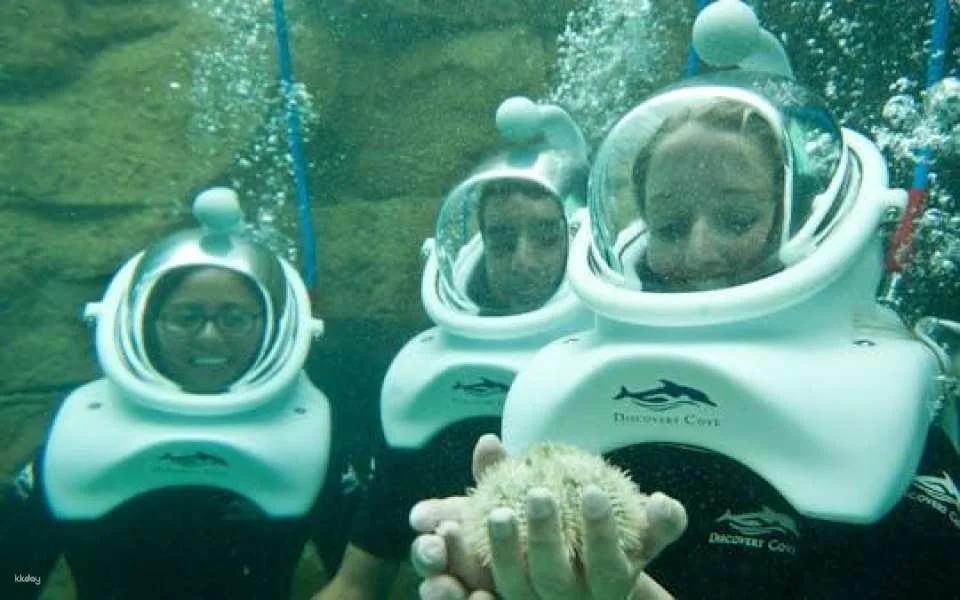 SeaVenture at Discovery Cove 2026