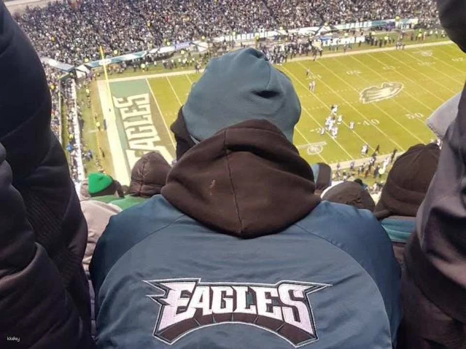 Philadelphia Eagles football game ticket at Lincoln Financial Field