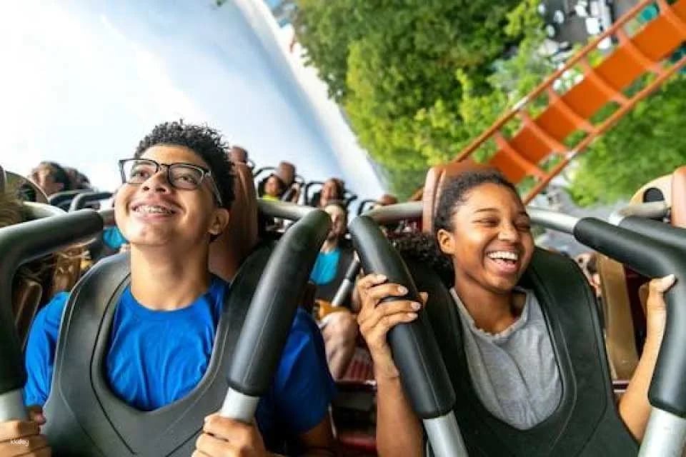 Dorney Park One Day Ticket