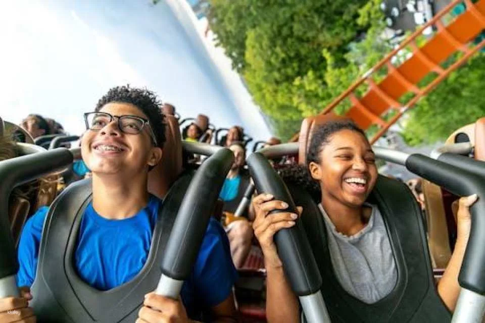 Dorney Park One Day Ticket