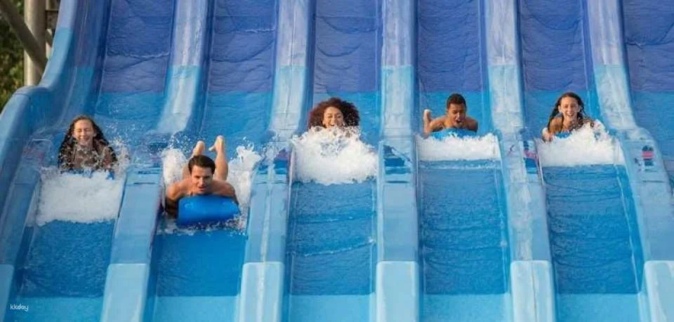 Dorney Park One Day Ticket