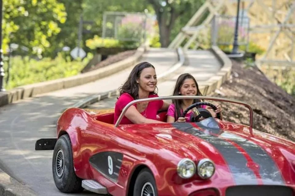 Dorney Park One Day Ticket