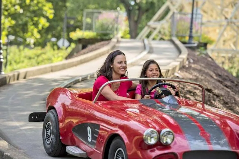 Dorney Park One Day Ticket