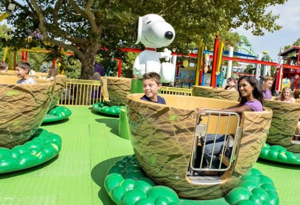 Dorney Park One Day Ticket