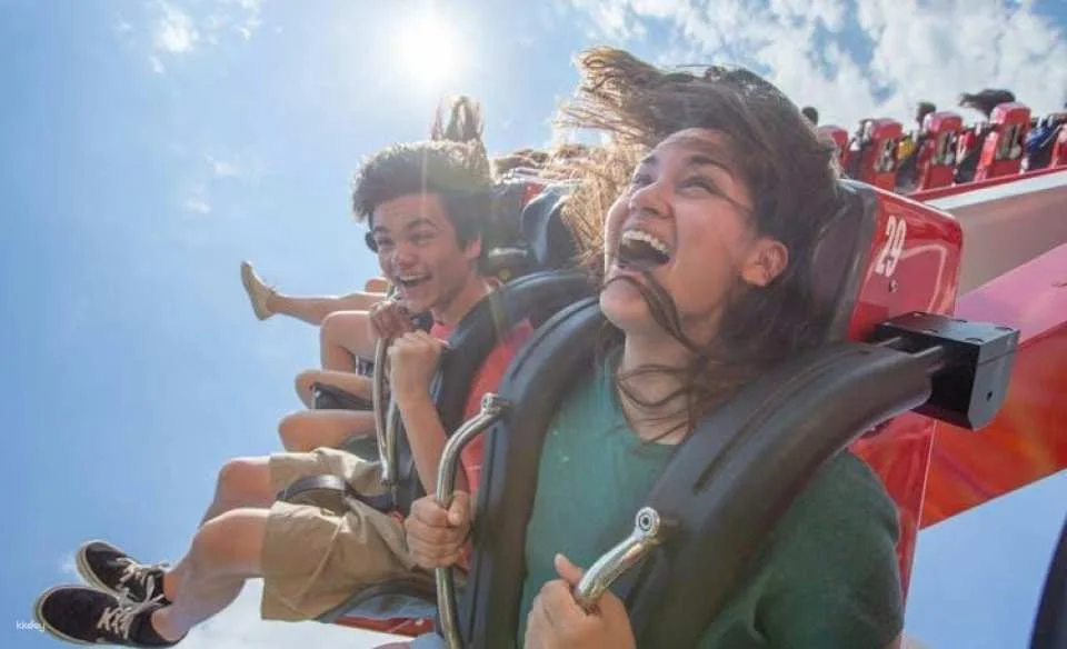 Six Flags New England One Day Ticket
