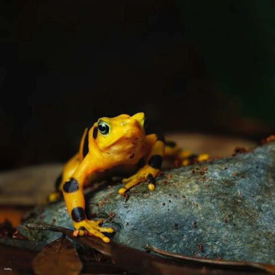 Aquarium of the Pacific Tickets