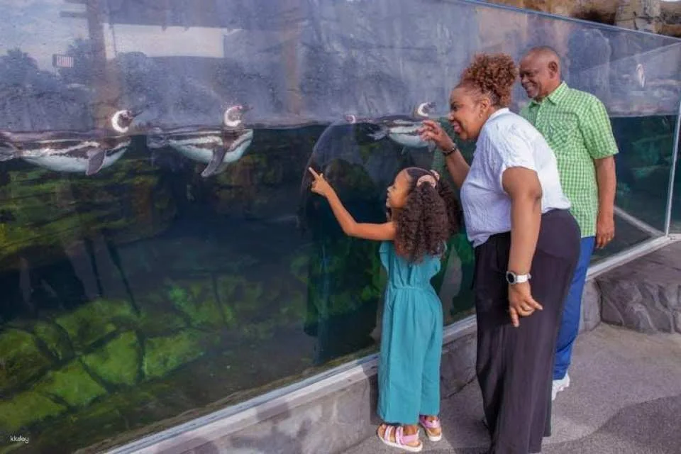 Aquarium of the Pacific Tickets