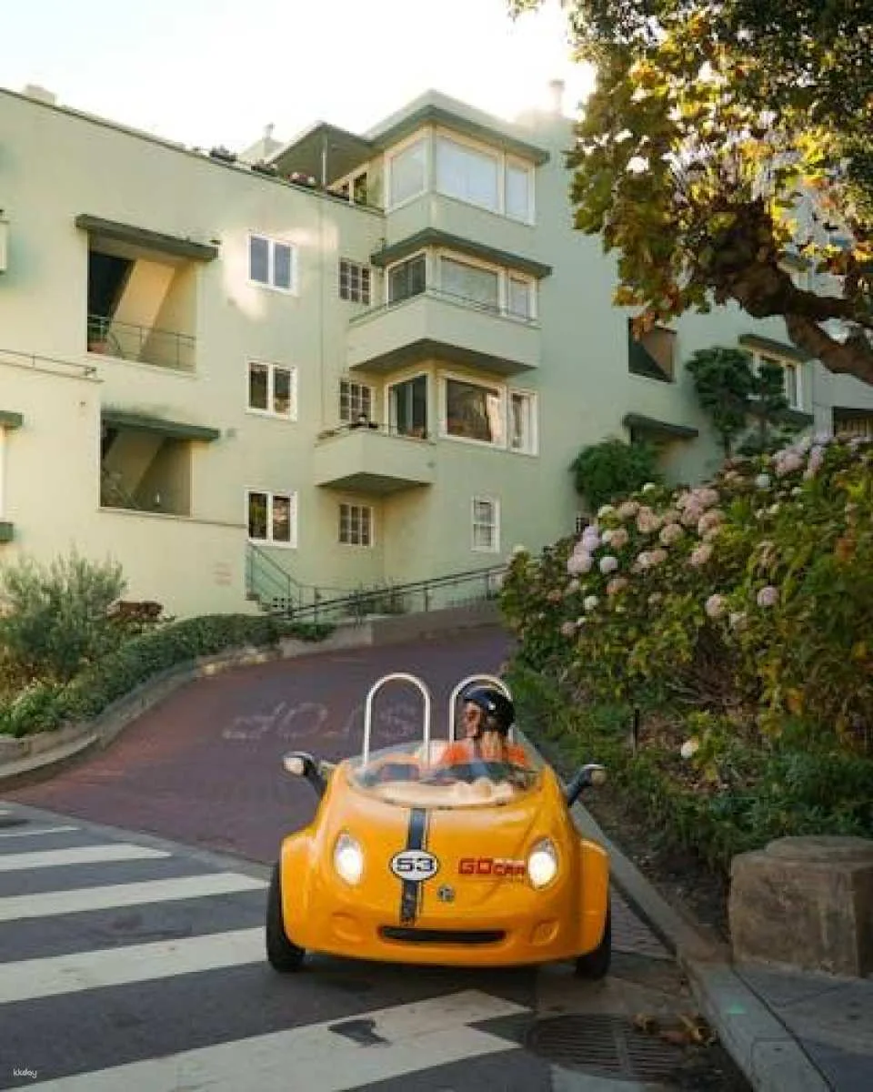 "Choose-Your-Own-Adventure" GoCar tour
