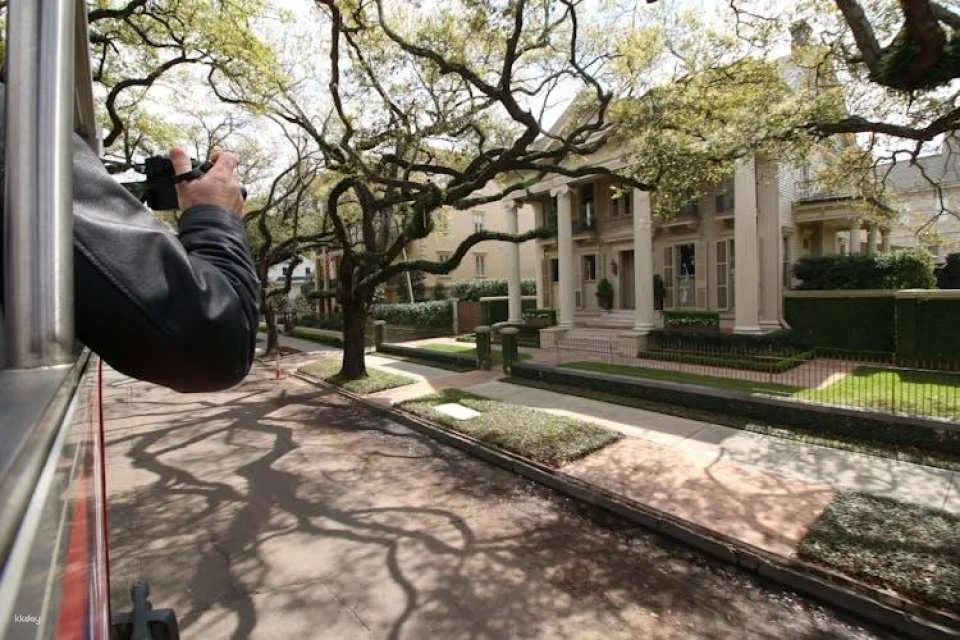 New Orleans 1-Day Hop-On Hop-Off Ticket