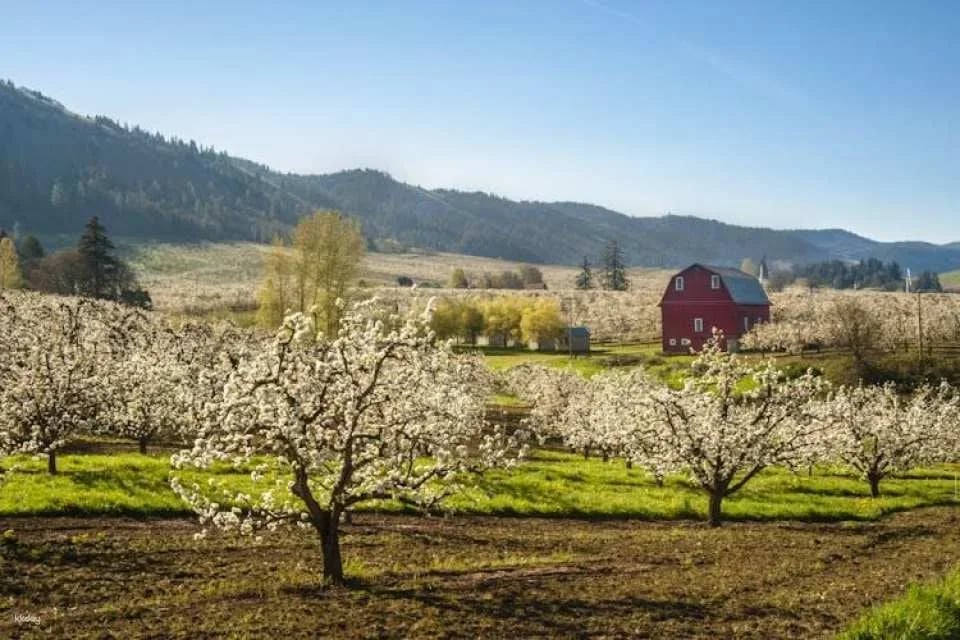 Mount Hood Scenic Loop self-guided driving audio tour