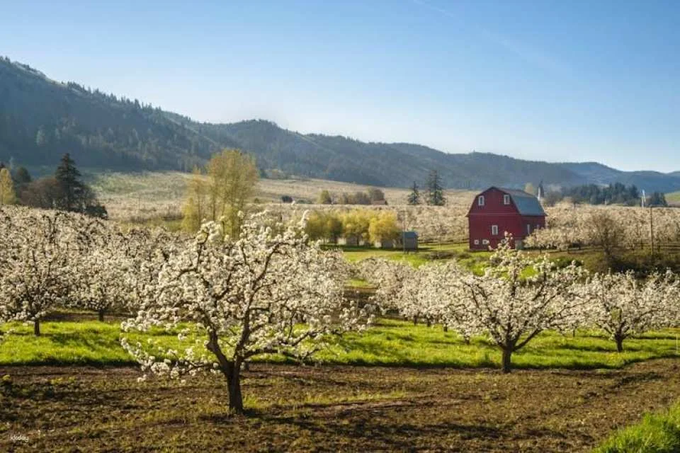 Mount Hood Scenic Loop self-guided driving audio tour