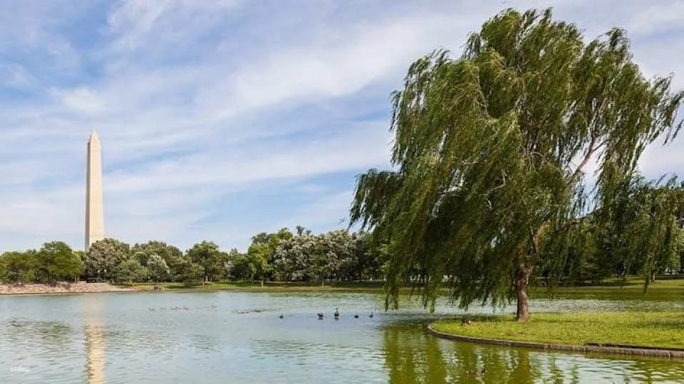 Washington D.C.'s Hidden Gems Self-Guided Adventure