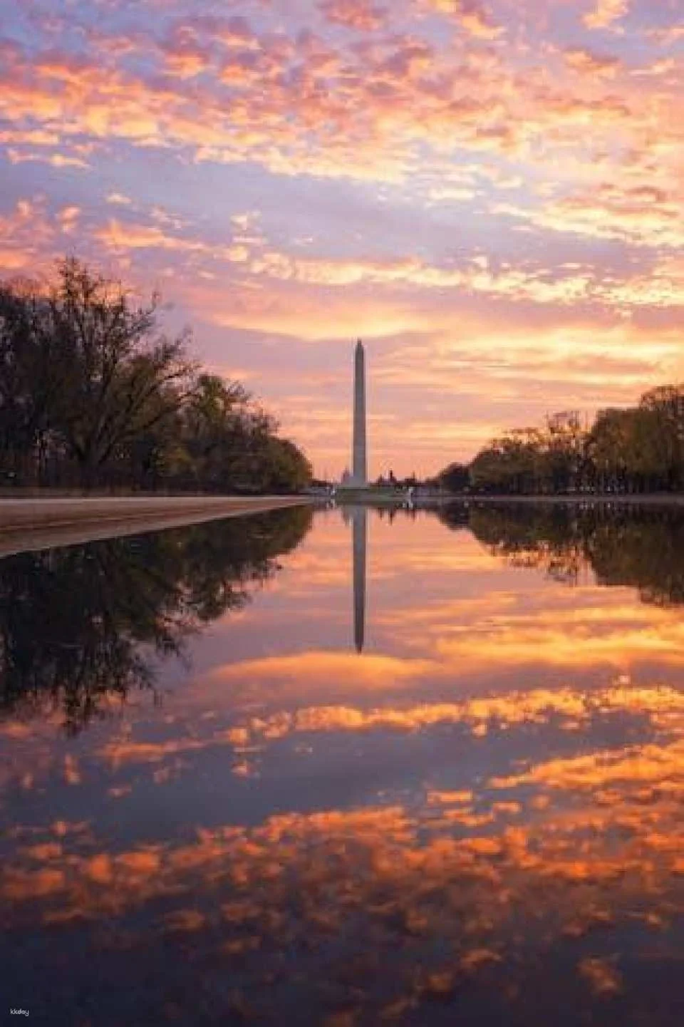 Washington D.C.'s Hidden Gems Self-Guided Adventure