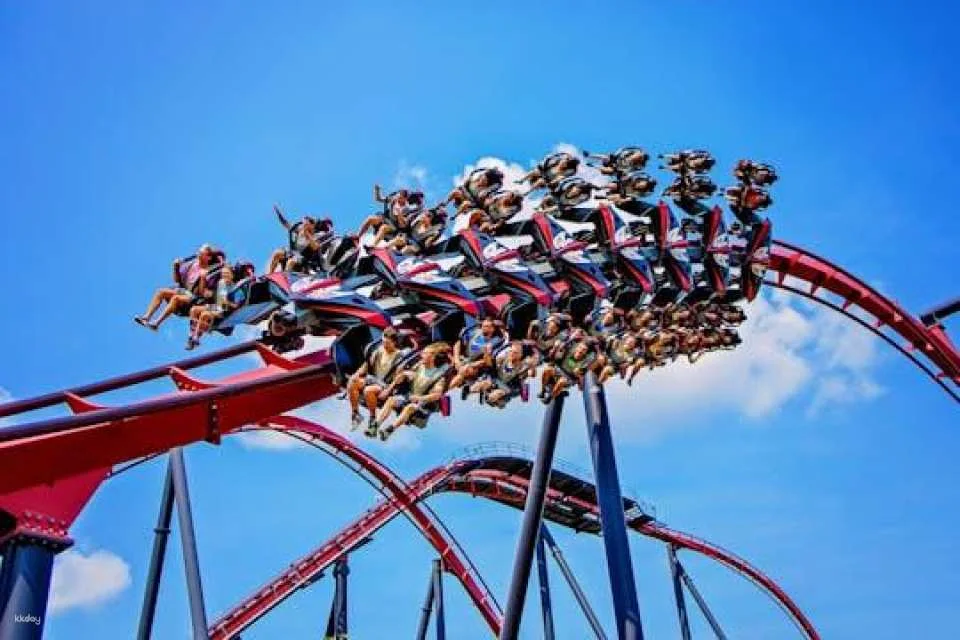 Six Flags Great America One Day Ticket