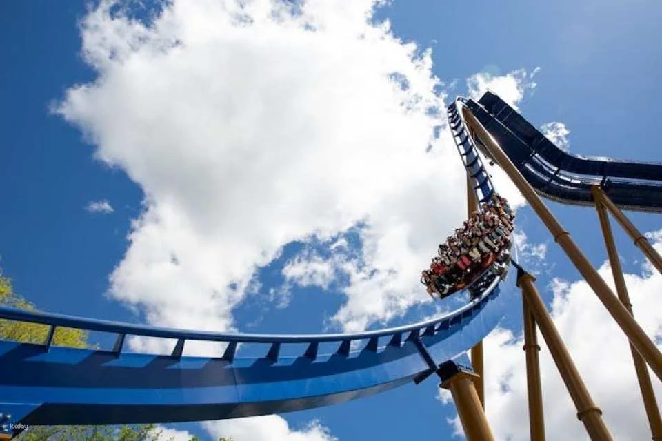 Six Flags Great America One Day Ticket