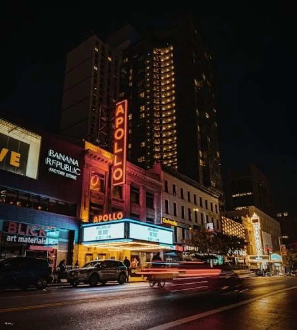 Neighborhoods of New York tour: Brooklyn, Bronx, Harlem, Queens and Coney Island