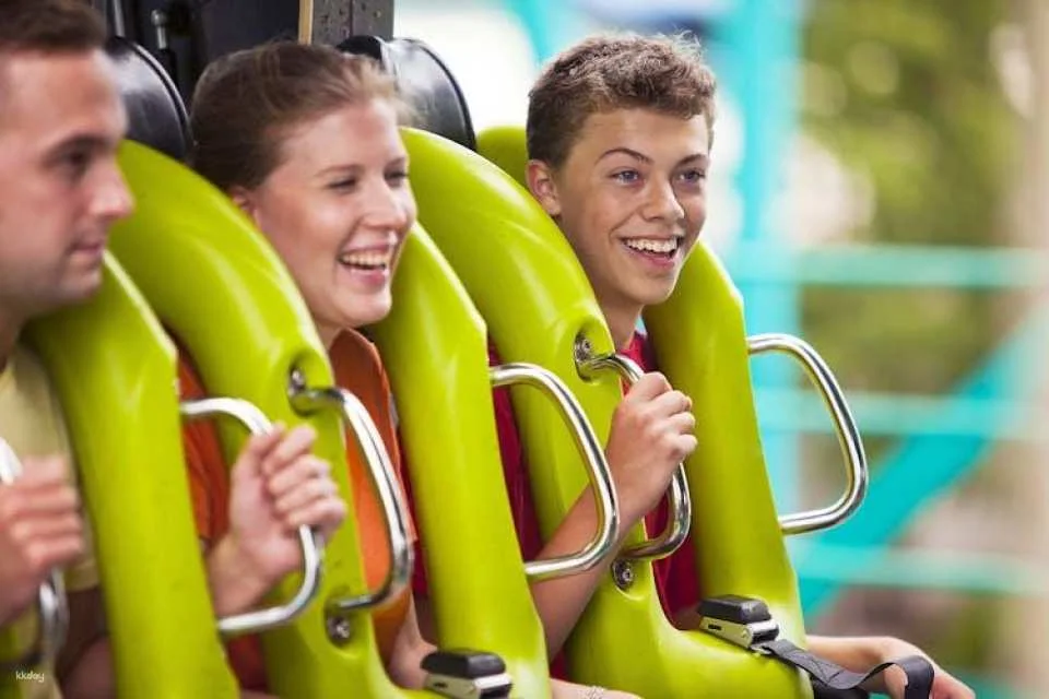Cedar Point One Day Ticket