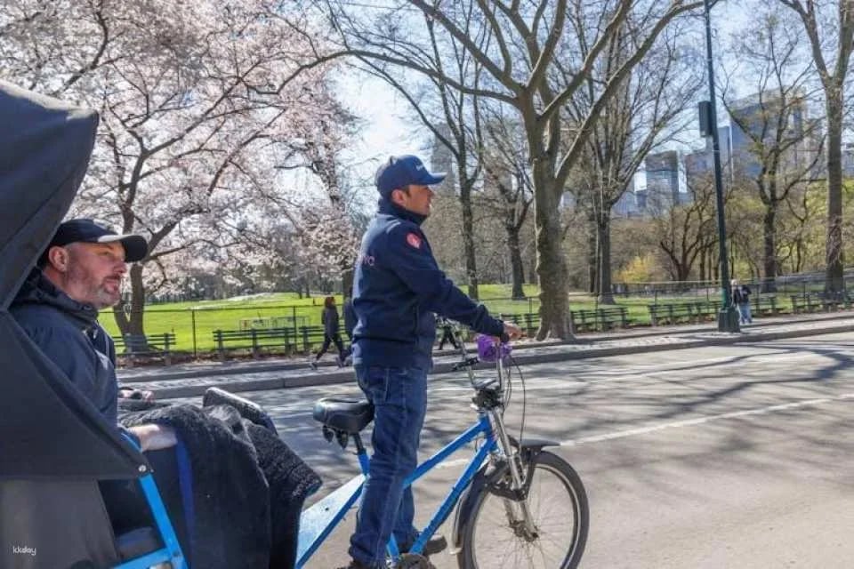 Guided pedicab tour through New York's Central Park