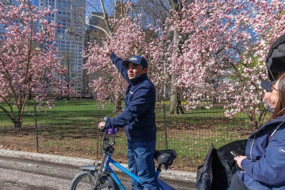 Guided pedicab tour through New York's Central Park