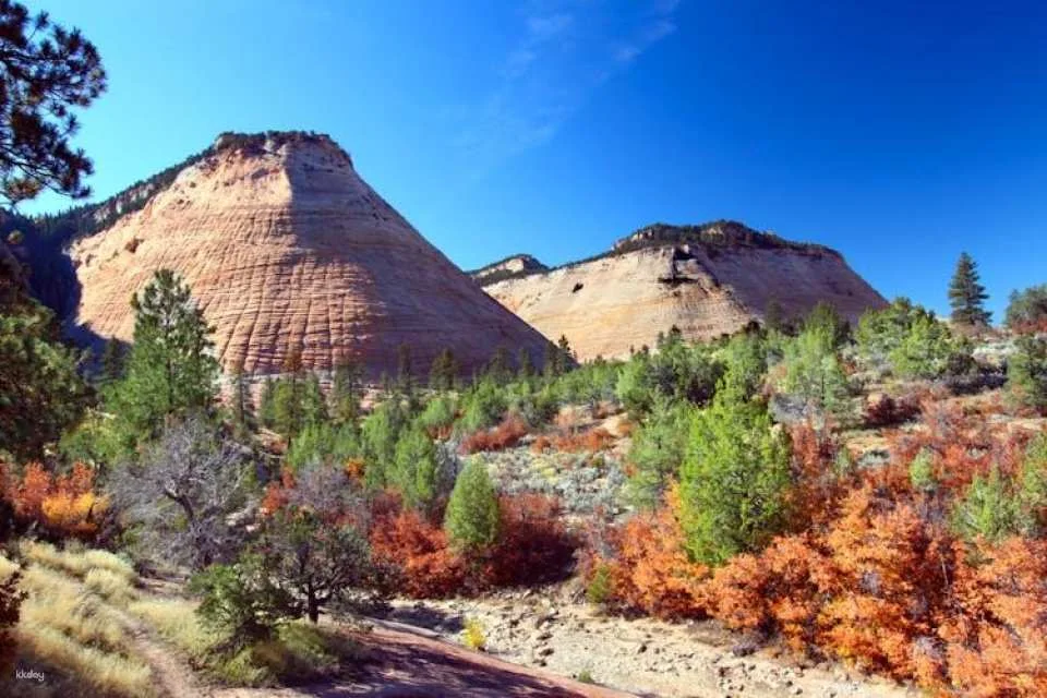Zion National Park self-driving audio tour