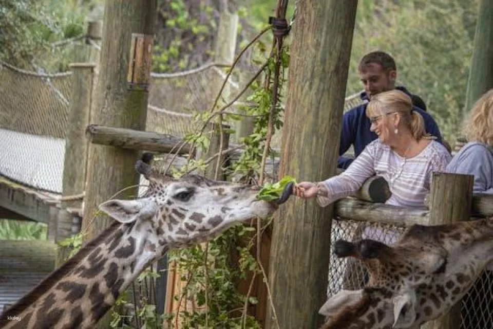 Admission to Brevard Zoo in Melbourne