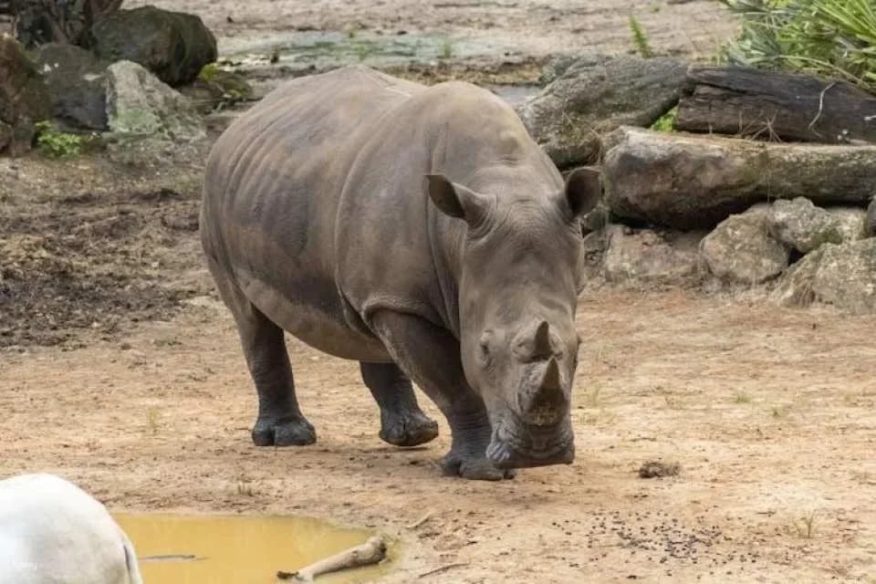 Admission to Brevard Zoo in Melbourne