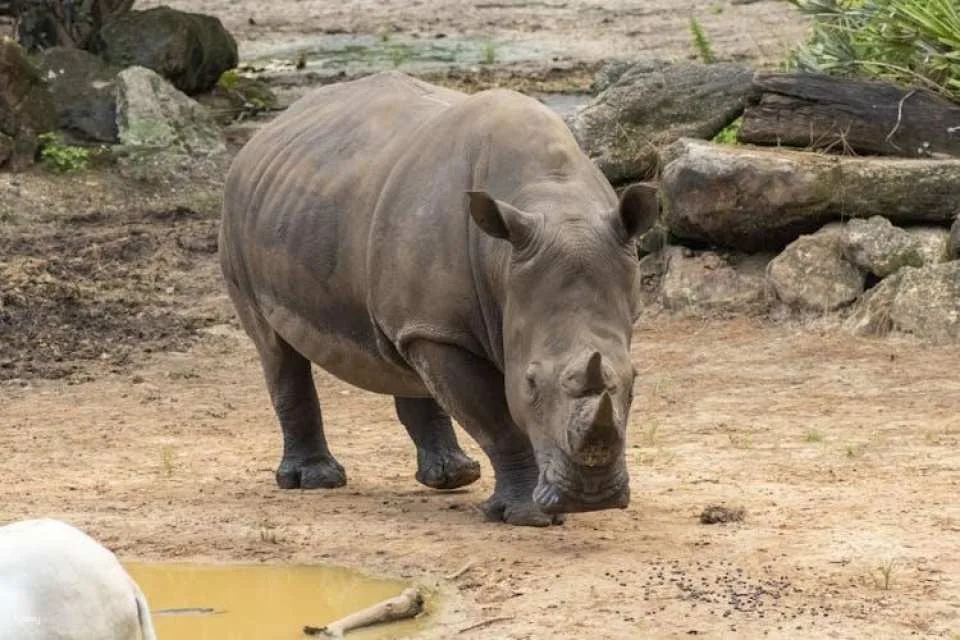 Admission to Brevard Zoo in Melbourne