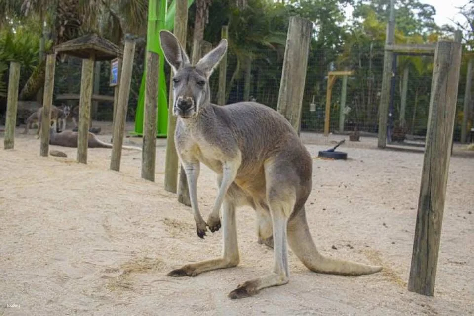 Admission to Brevard Zoo in Melbourne
