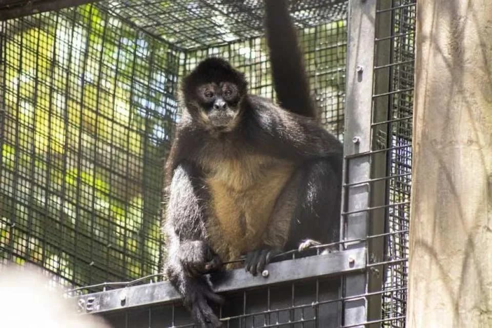Admission to Brevard Zoo in Melbourne