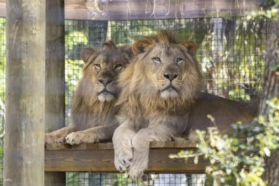 Admission to Brevard Zoo in Melbourne
