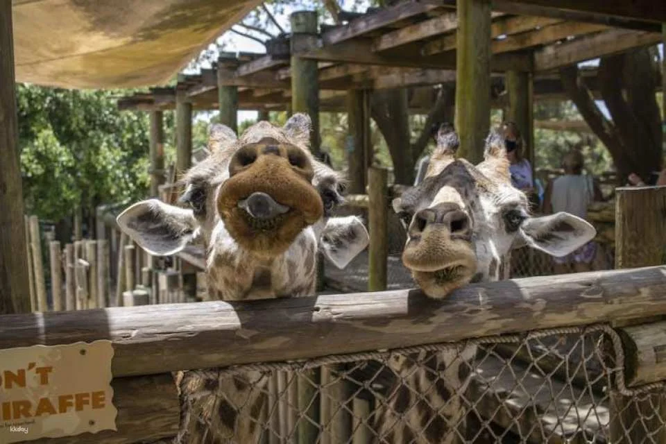 Admission to Brevard Zoo in Melbourne