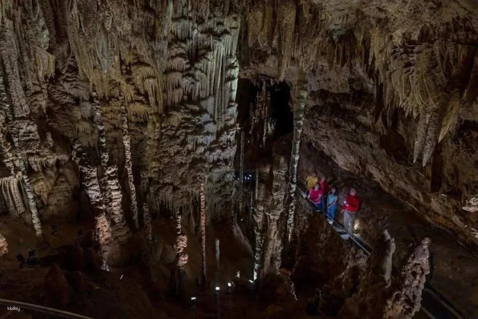 Natural bridge caverns discovery tour